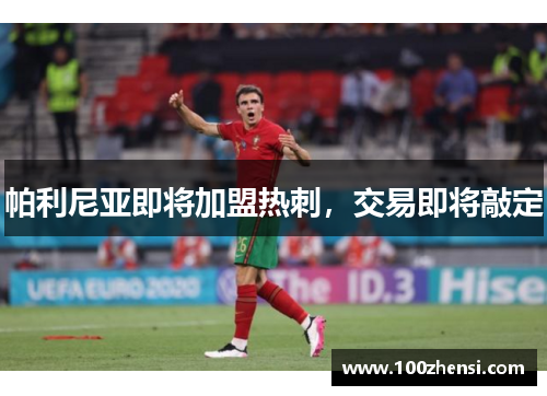 帕利尼亚即将加盟热刺,交易即将敲定
