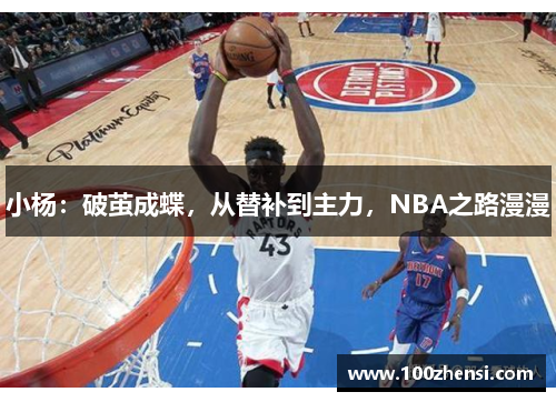 小杨：破茧成蝶，从替补到主力，NBA之路漫漫